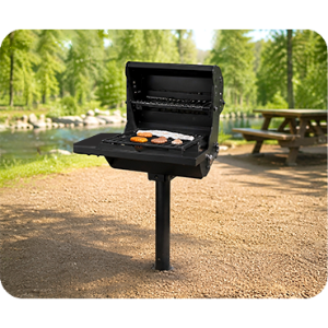 Picture for category Park Grills